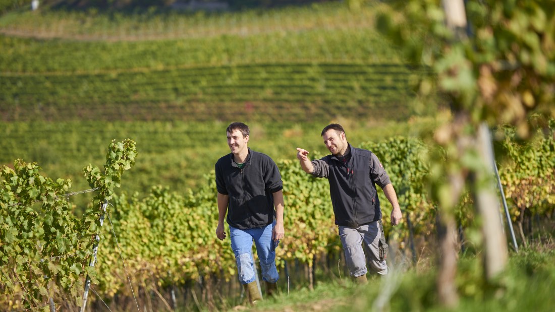 Weingut Geil_Winzer 3, © Weingut Geil Weingut Geil_Winzer 3, © Weingut Geil