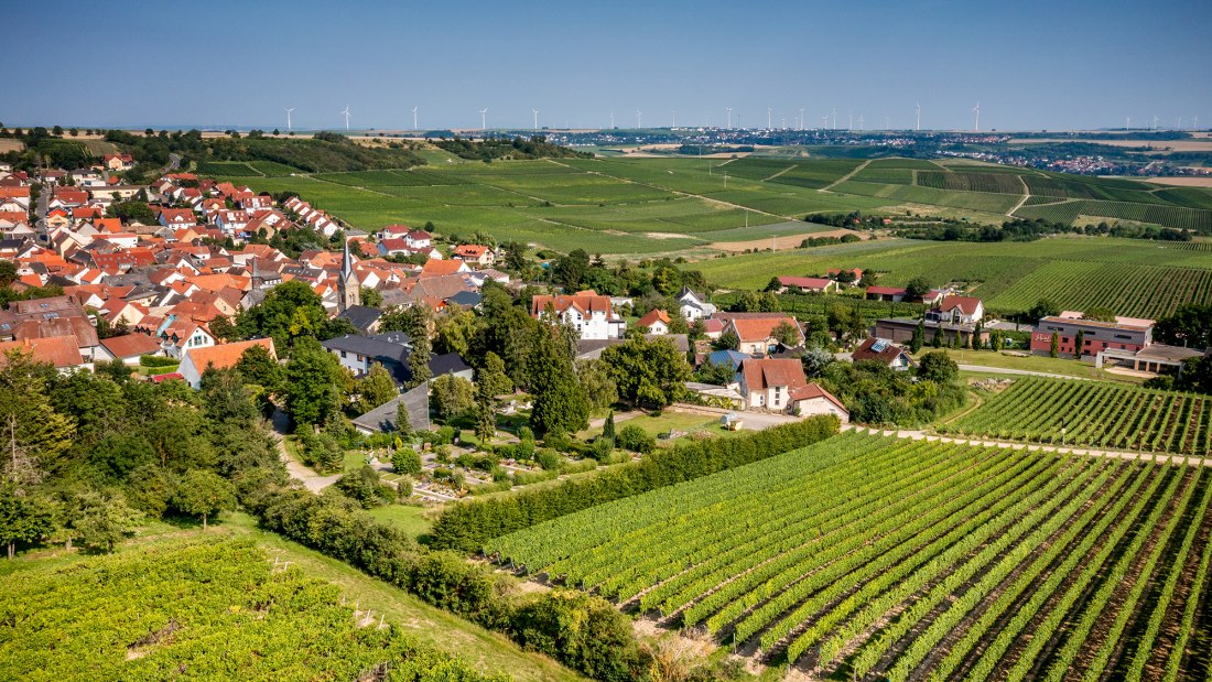 Vendersheimer Sonnenberg Vendersheimer Sonnenberg