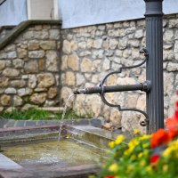 Brunnen in Gundersheim mit Blumen im Herbst © Touristikverein Wonnegau e.V. Brunnen in Gundersheim mit Blumen im Herbst © Touristikverein Wonnegau e.V.