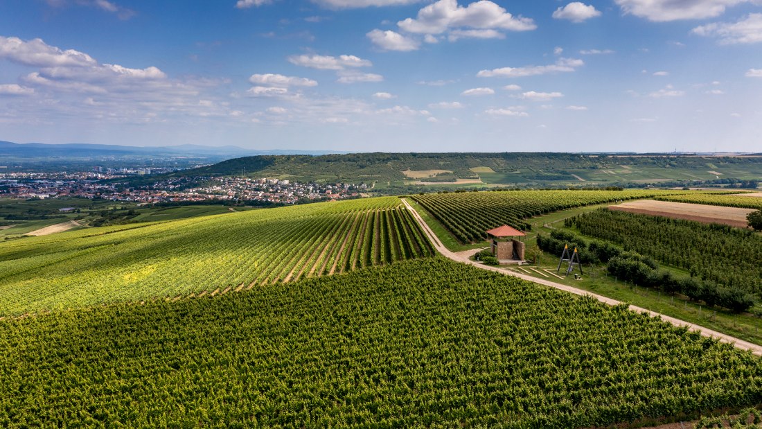Ockenheimer St. Jakobsberg Ockenheimer St. Jakobsberg