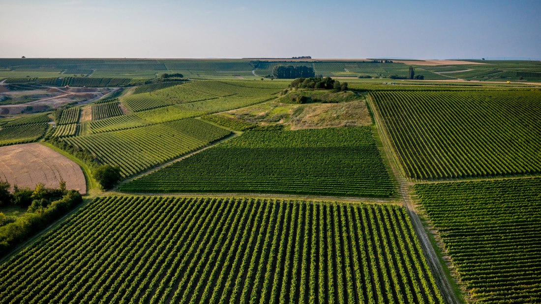 Sulzheimer Schildberg Sulzheimer Schildberg