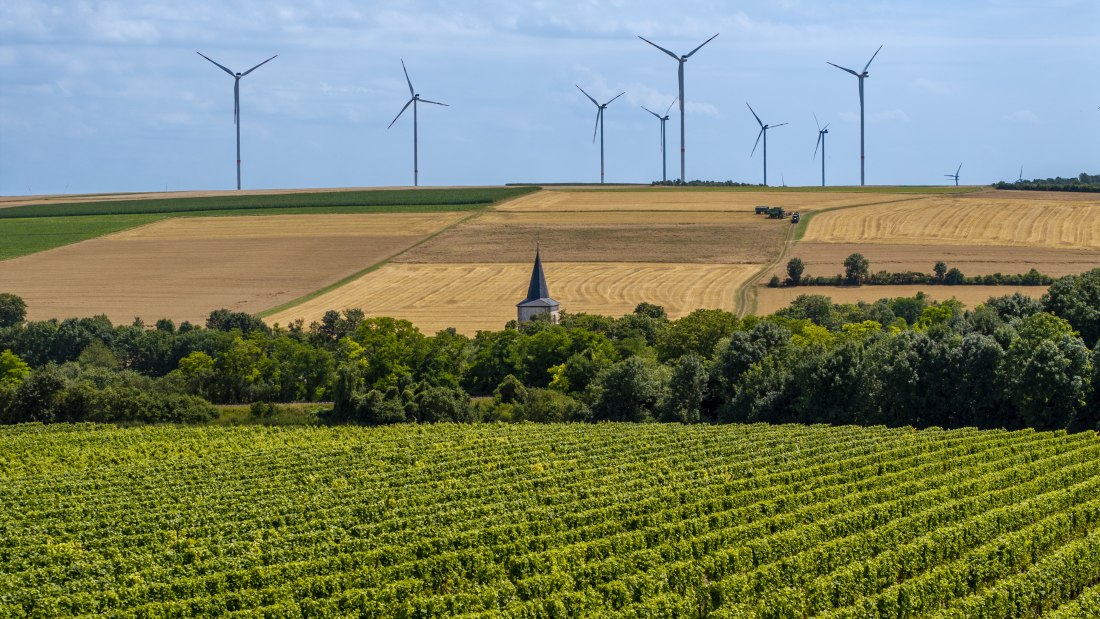 Freimersheimer Frankenstein, © Rheinhessenwein e.V., Torsten Silz Freimersheimer Frankenstein, © Rheinhessenwein e.V., Torsten Silz