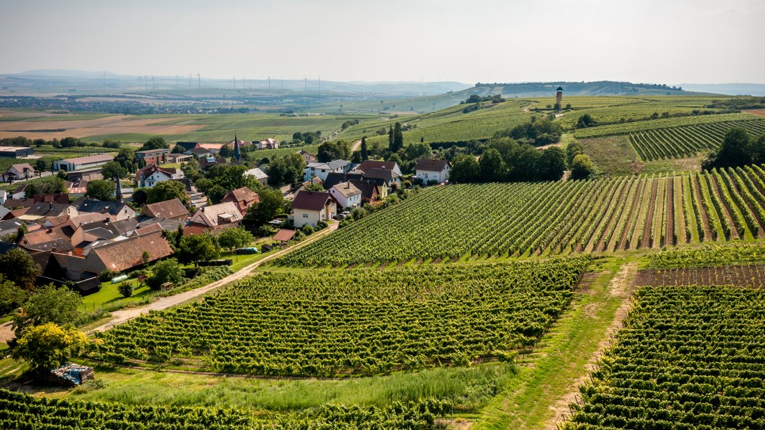 Vendersheimer Sonnenberg Vendersheimer Sonnenberg