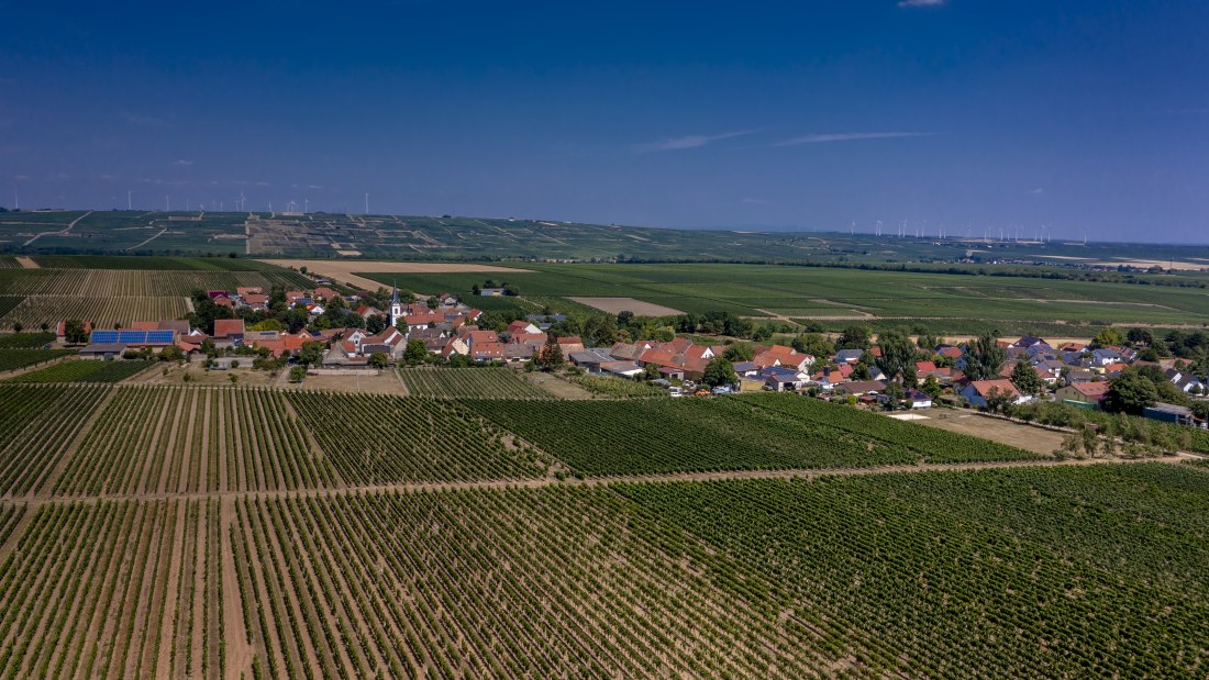 Bermersheimer Seilgarten Bermersheimer Seilgarten