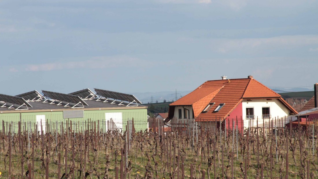 Weingut Groebe am Bergkloster_Weingut, © Weingut Groebe am Bergkloster Weingut Groebe am Bergkloster_Weingut, © Weingut Groebe am Bergkloster