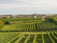 Gemeinde im Wonnegau © Ulrich van Wasen Gemeinde im Wonnegau © Ulrich van Wasen