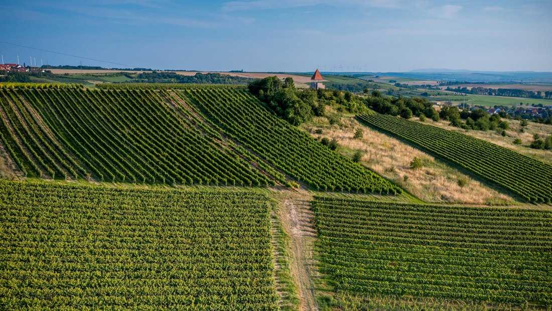 Sulzheimer Schildberg Sulzheimer Schildberg
