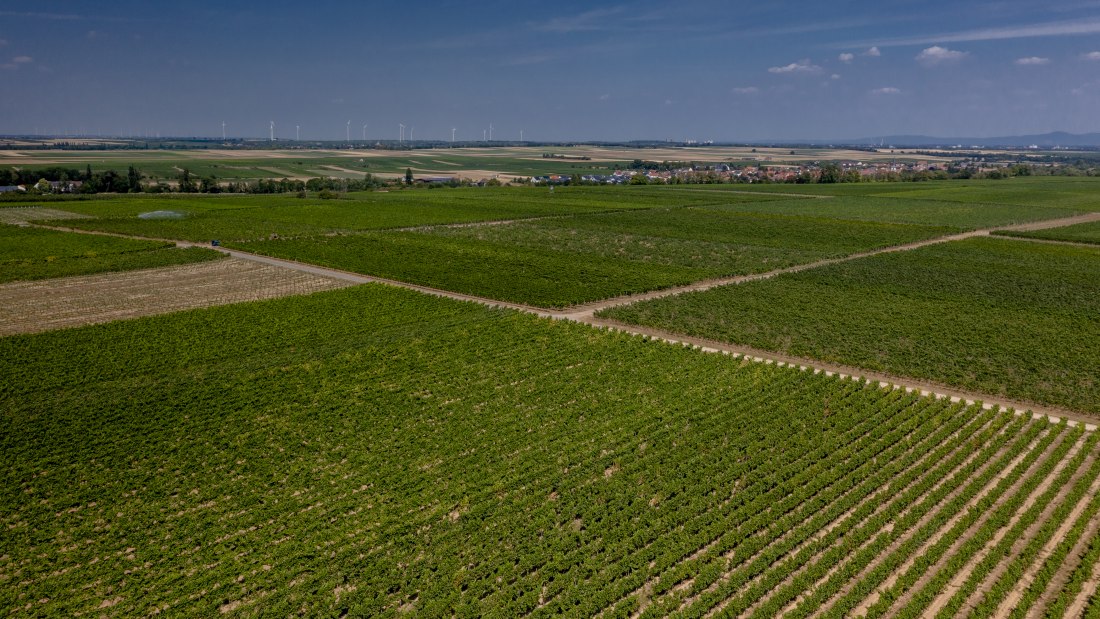 Offsteiner Engelsberg Offsteiner Engelsberg