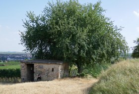 Liebesnet © Michael Jung Liebesnet © Michael Jung