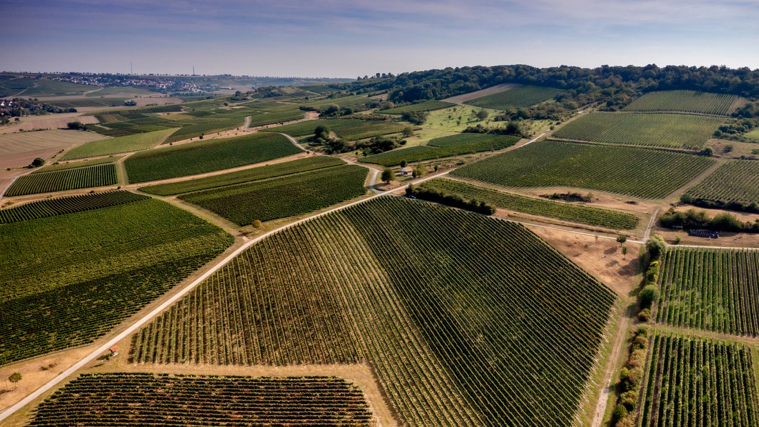 Sprendlinger Wißberg Sprendlinger Wißberg