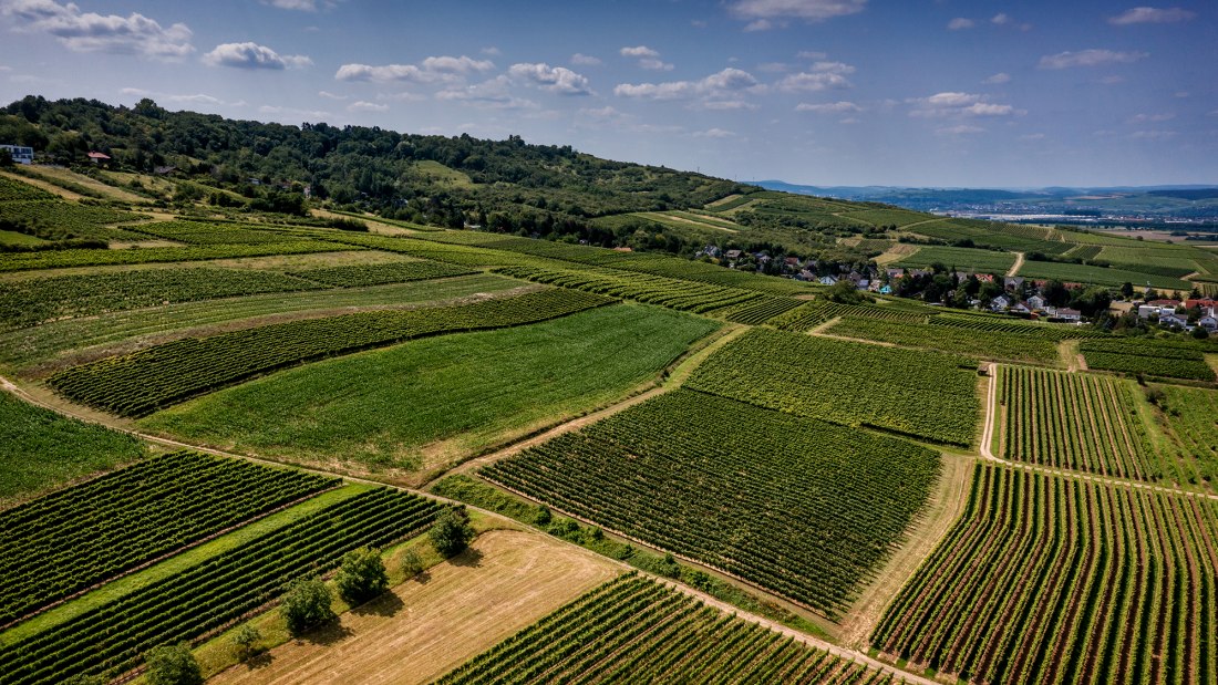 Ockenheimer St. Jakobsberg Ockenheimer St. Jakobsberg