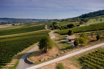 Sprendlinger Wißberg Sprendlinger Wißberg