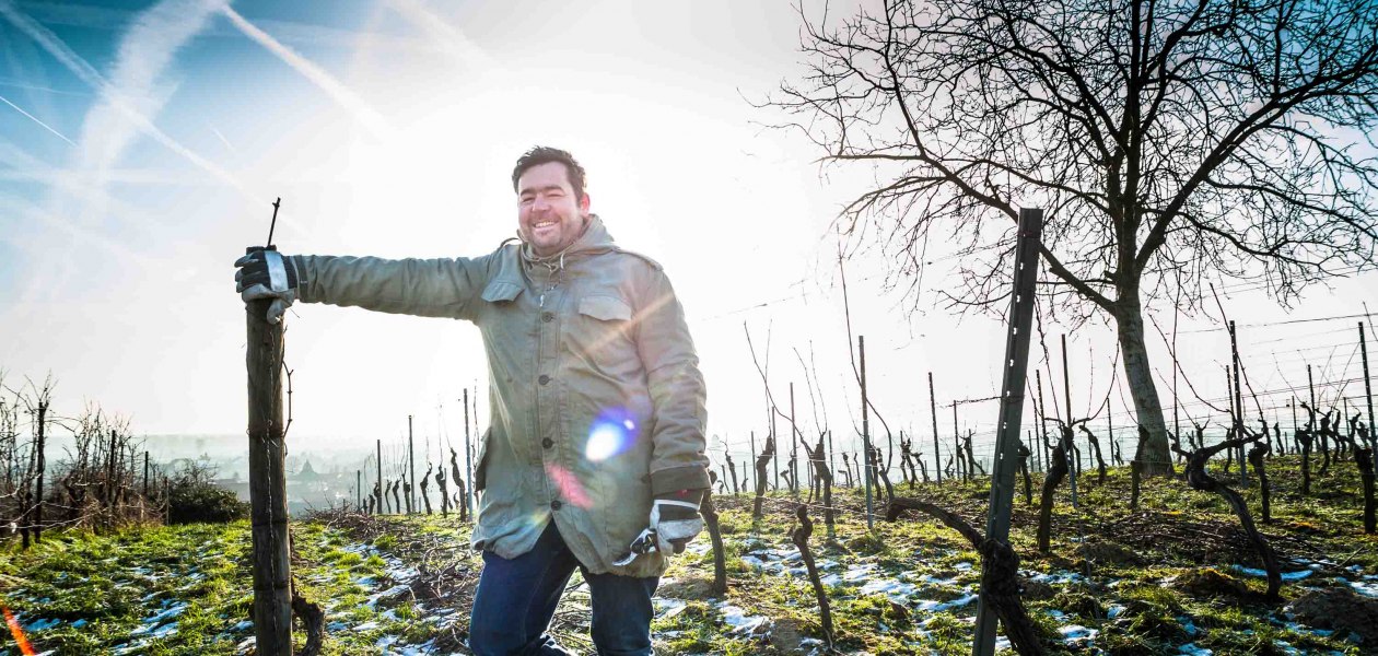 Hiestand_Winzer Reben, © Hiestand Hiestand_Winzer Reben, © Hiestand