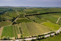 Guntersblumer Kreuzkapelle Guntersblumer Kreuzkapelle