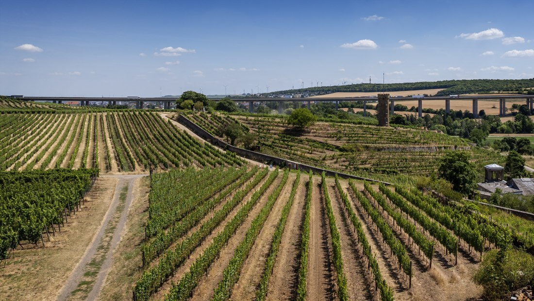 Weinheimer Heiliger Blutberg, © Torsten Silz Weinheimer Heiliger Blutberg, © Torsten Silz