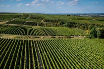 Alsheimer Frühmesse Alsheimer Frühmesse