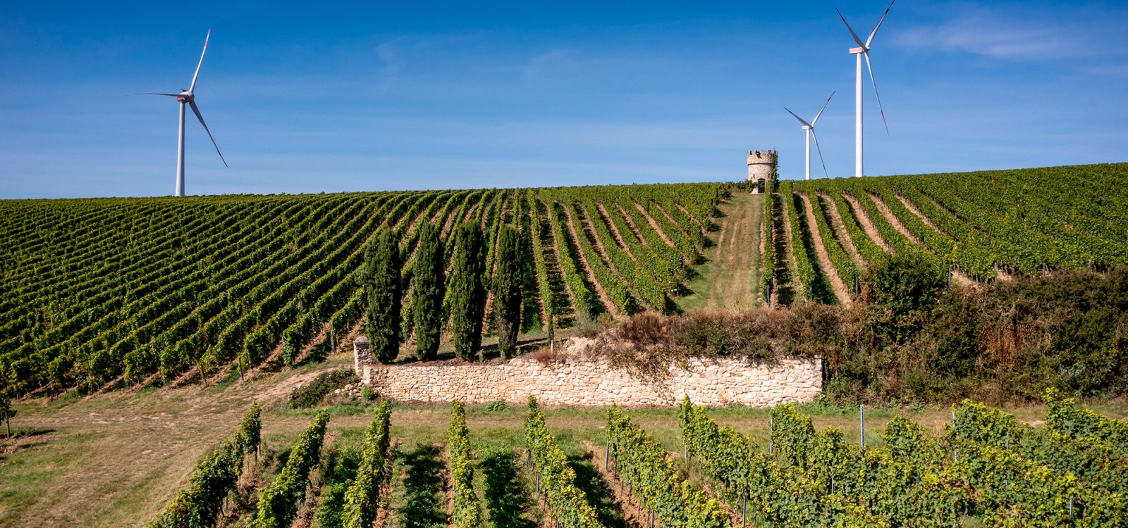 Dalsheimer Hubacker Dalsheimer Hubacker