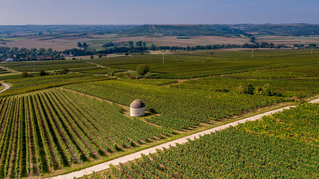 Elsheimer Bockstein Elsheimer Bockstein