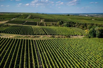 Alsheimer Frühmesse Alsheimer Frühmesse