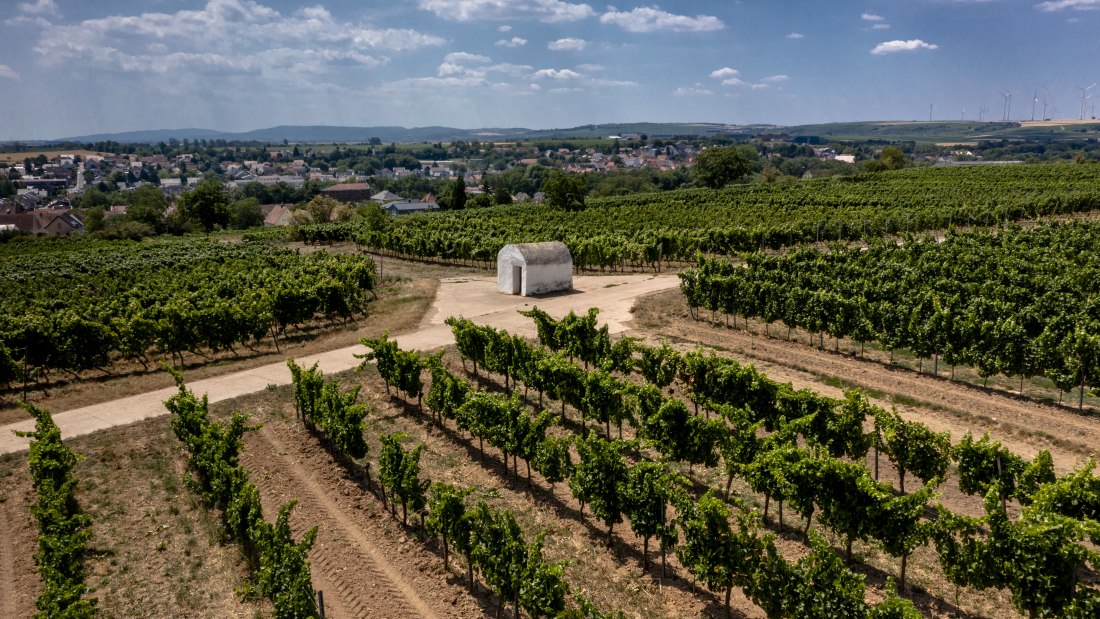 Monsheimer Rosengarten Monsheimer Rosengarten