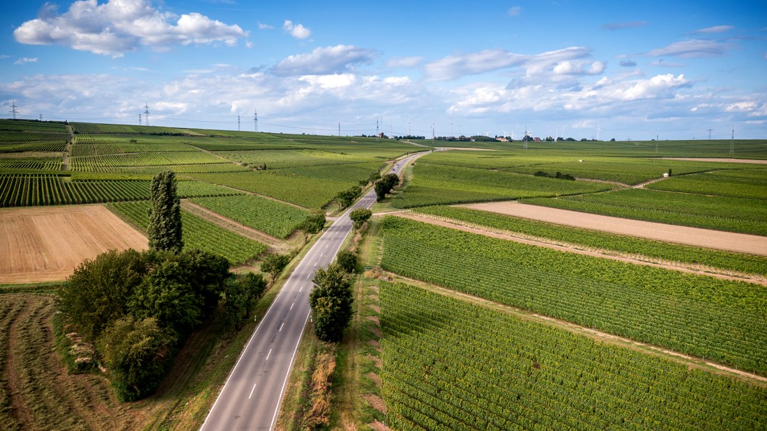 Westhofener Aulerde Westhofener Aulerde