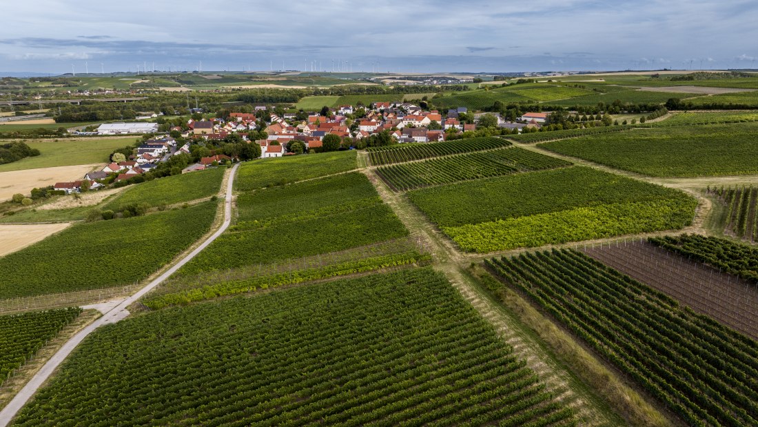 Bermersheimer Hildegardisberg Bermersheimer Hildegardisberg