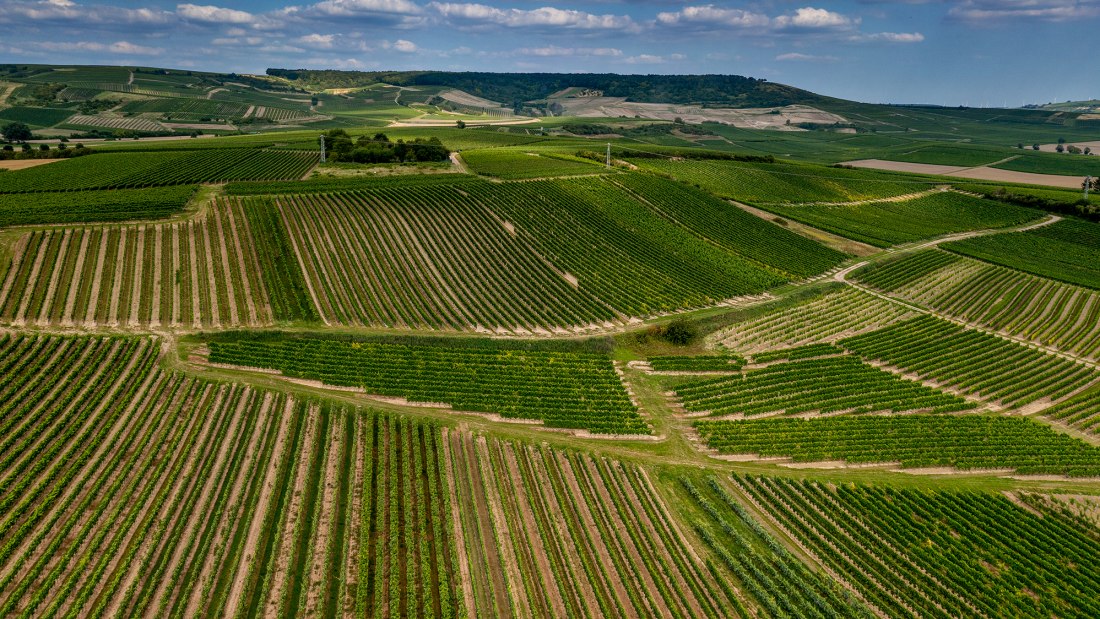 Welgesheimer Kirchgärtchen Welgesheimer Kirchgärtchen