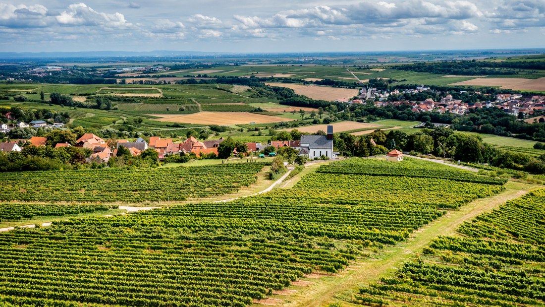 Mölsheimer Zellerweg am Schwarzen Herrgott Mölsheimer Zellerweg am Schwarzen Herrgott