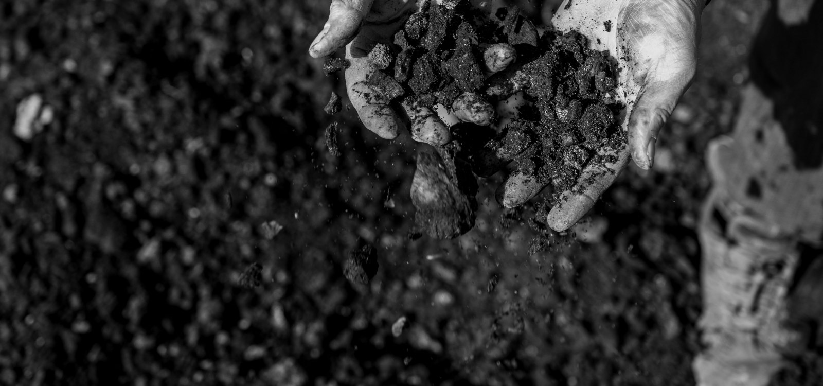 Huppert_Titelbild Huppert_Titelbild