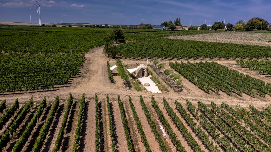 Bermersheimer Seilgarten Bermersheimer Seilgarten