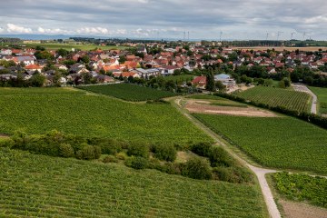 Weinolsheimer Kehr Weinolsheimer Kehr