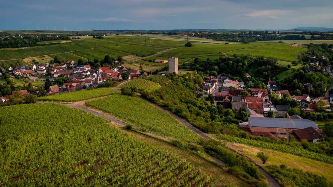 Niersteiner Schloß Schwabsburg Niersteiner Schloß Schwabsburg