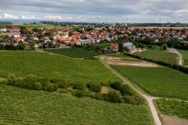 Weinolsheimer Kehr Weinolsheimer Kehr