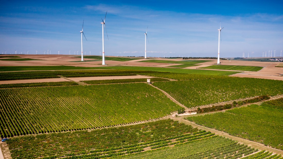 Dalsheimer Hubacker Dalsheimer Hubacker