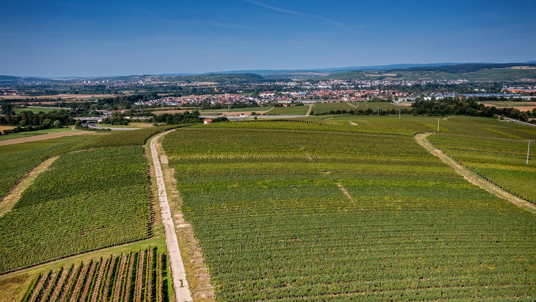 Gensinger Goldberg Gensinger Goldberg