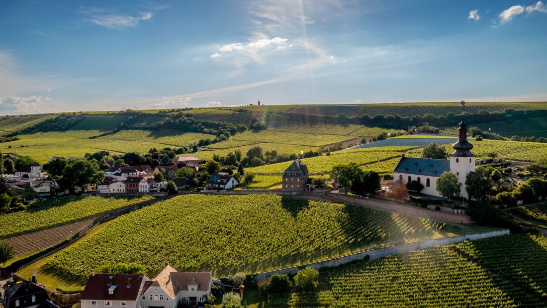 Niersteiner Glöck Niersteiner Glöck
