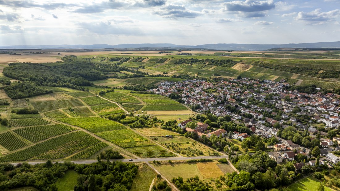 Partenheimer Sankt Georgen, © Torsten Silz Partenheimer Sankt Georgen, © Torsten Silz