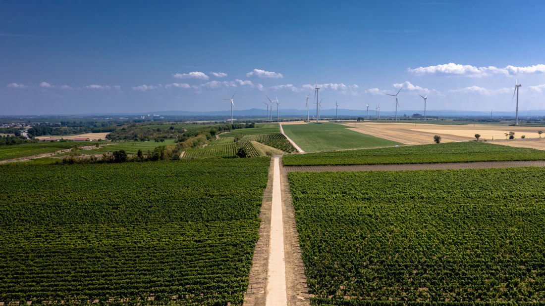 Mörstadter Nonnengarten Mörstadter Nonnengarten