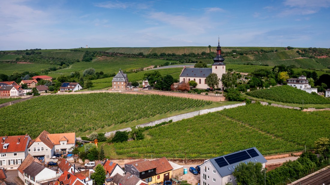 Niersteiner Glöck Niersteiner Glöck