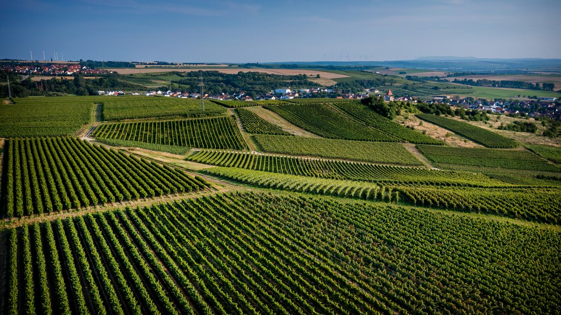 Sulzheimer Schildberg Sulzheimer Schildberg