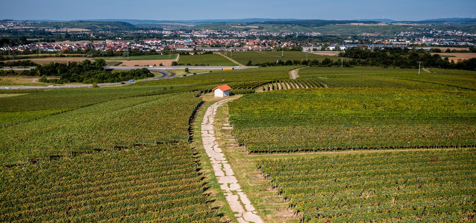 Gensinger Goldberg Gensinger Goldberg