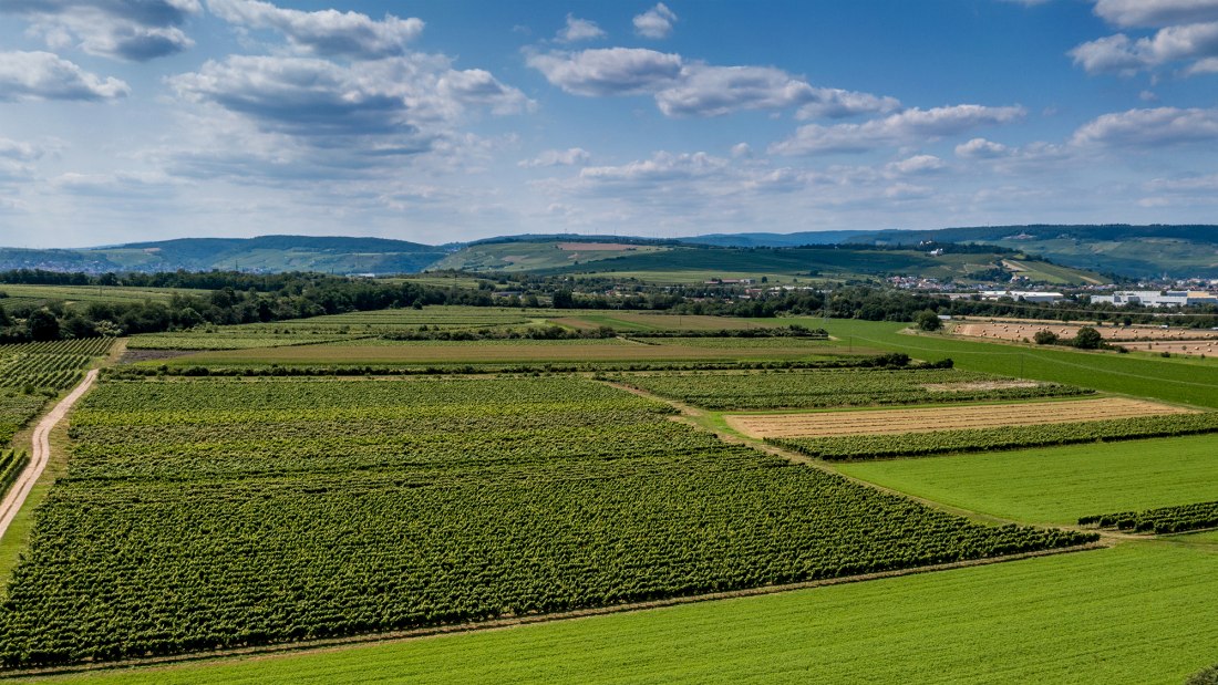 Ockenheimer Kreuz Ockenheimer Kreuz