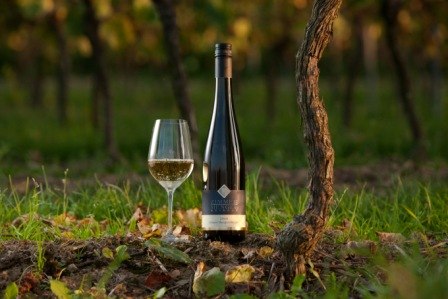 Weingut Zimmer-Mengel_Weinflasche, © Weingut Zimmer-Mengel Weingut Zimmer-Mengel_Weinflasche, © Weingut Zimmer-Mengel
