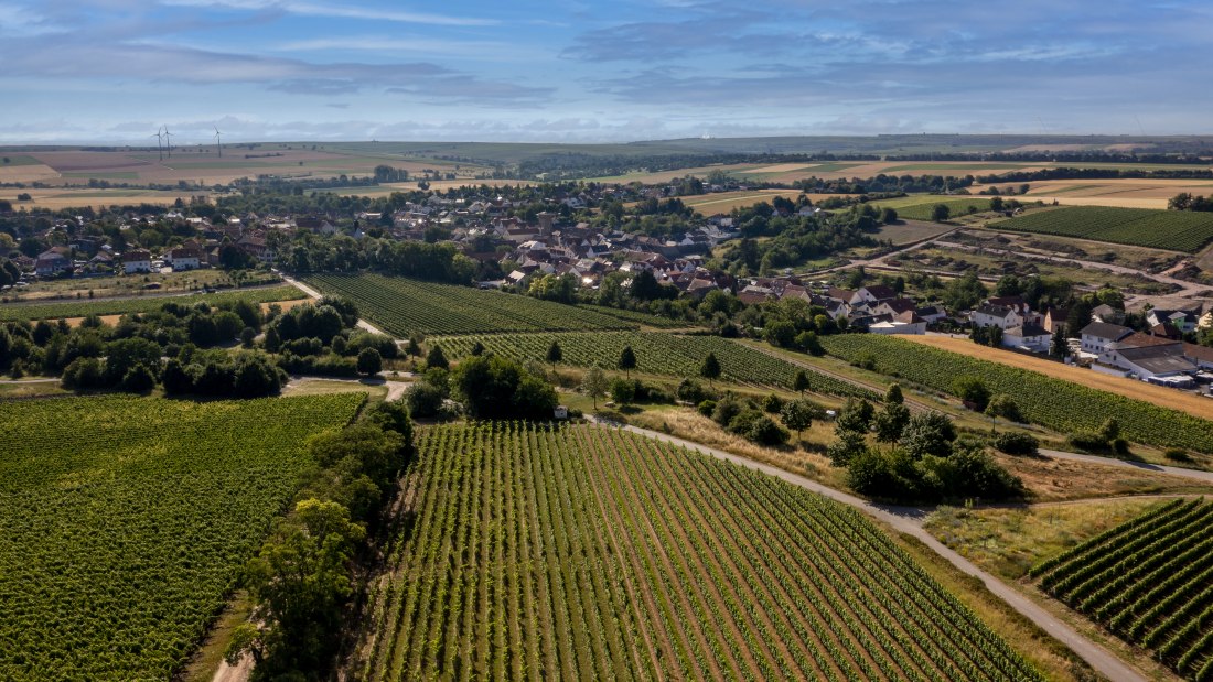 Mommenheimer Silbergrube Mommenheimer Silbergrube