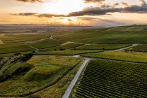 Ensheimer Kachelberg Ensheimer Kachelberg