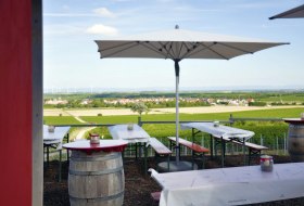 Wingertsheisje am Goldbergbrunnen © Tacheles Landrestaurant und Gästehaus Wingertsheisje am Goldbergbrunnen © Tacheles Landrestaurant und Gästehaus