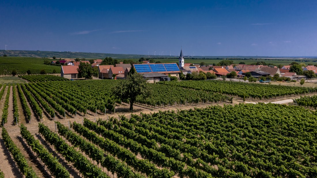 Bermersheimer Seilgarten Bermersheimer Seilgarten