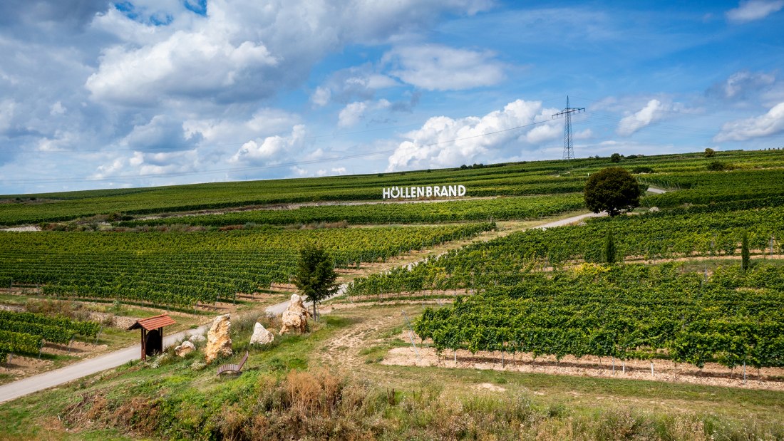 Gundersheimer Höllenbrand Gundersheimer Höllenbrand