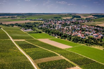 Appenheimer Hundertgulden Appenheimer Hundertgulden