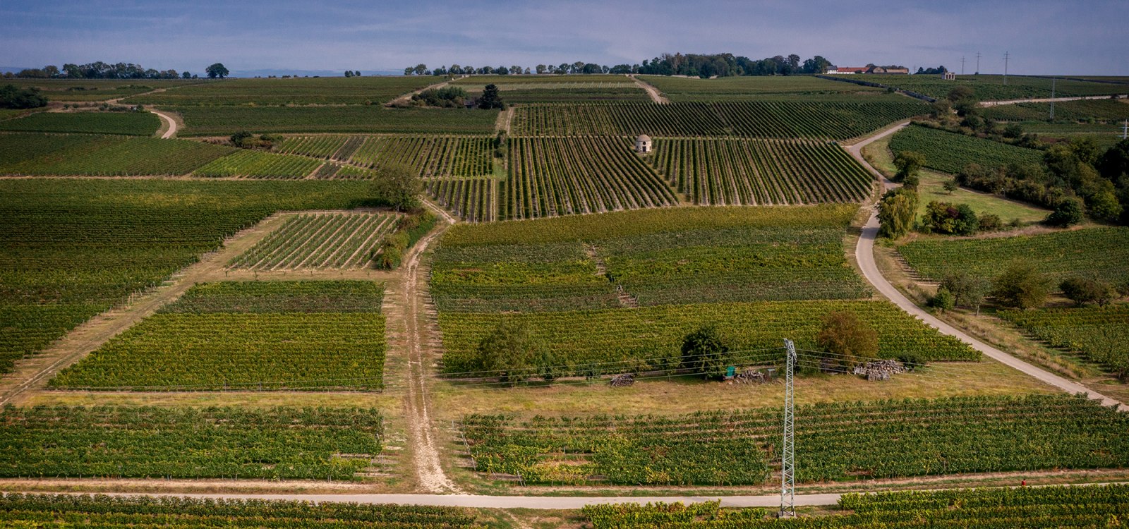 Elsheimer Bockstein Elsheimer Bockstein